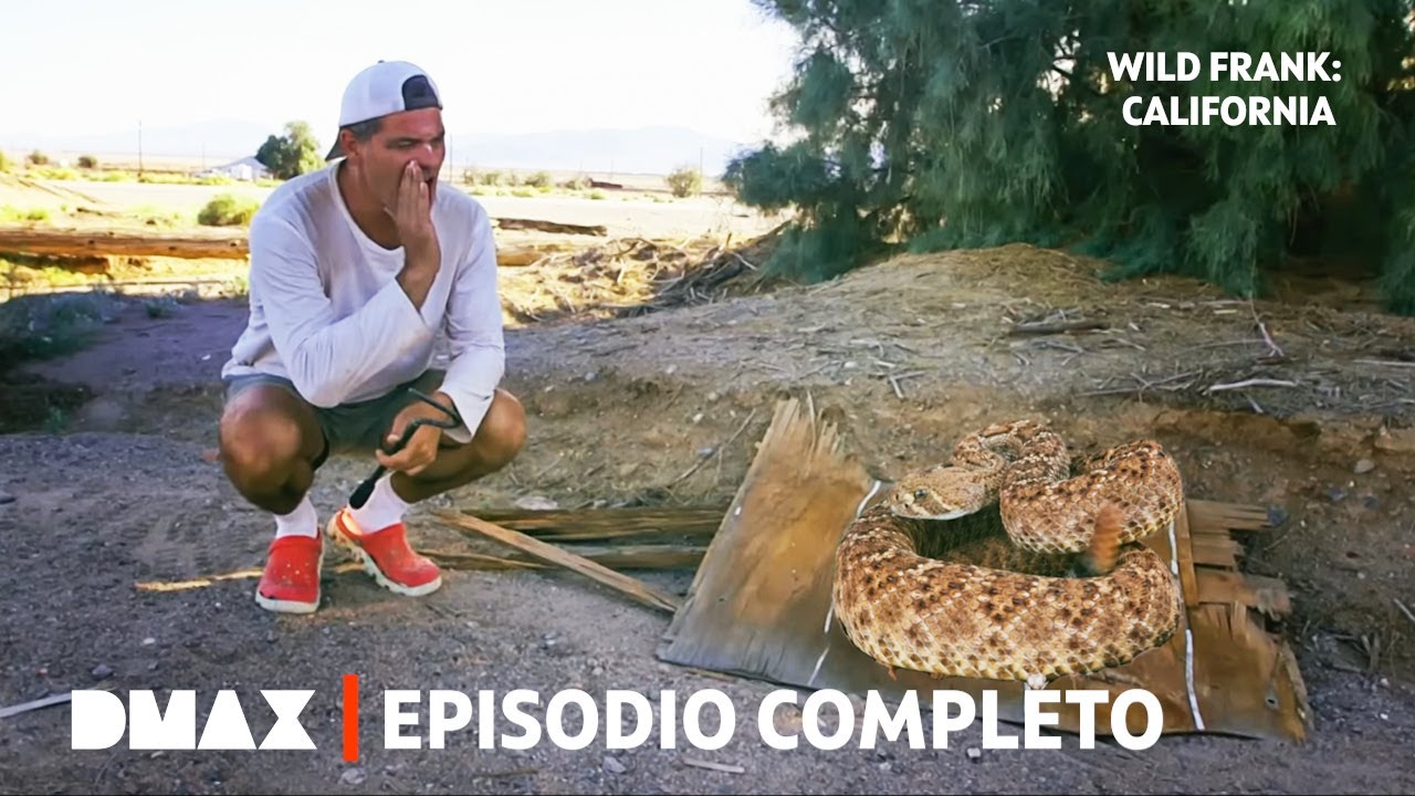 Wild Frank frente a la serpiente más letal del desierto | Episodio 2 | Wild Frank en California