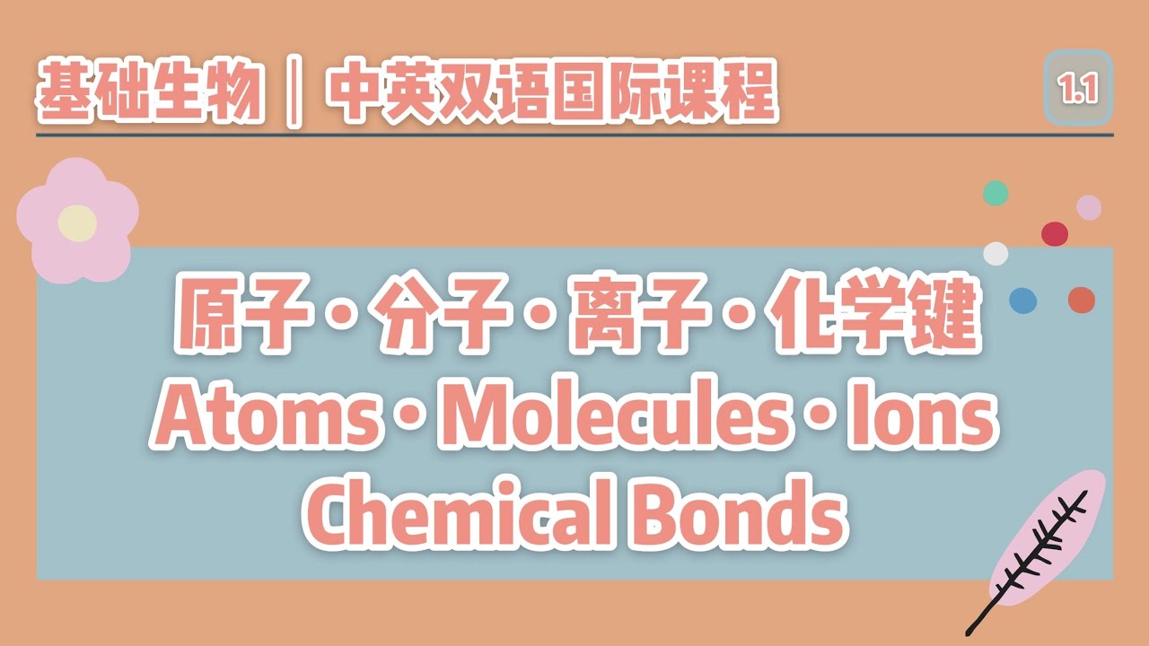 【中英双语国际课堂-基础生物】生物学基础：原子分子离子和化学键 | Atoms, Molecules, Ions & Chemical Bonds