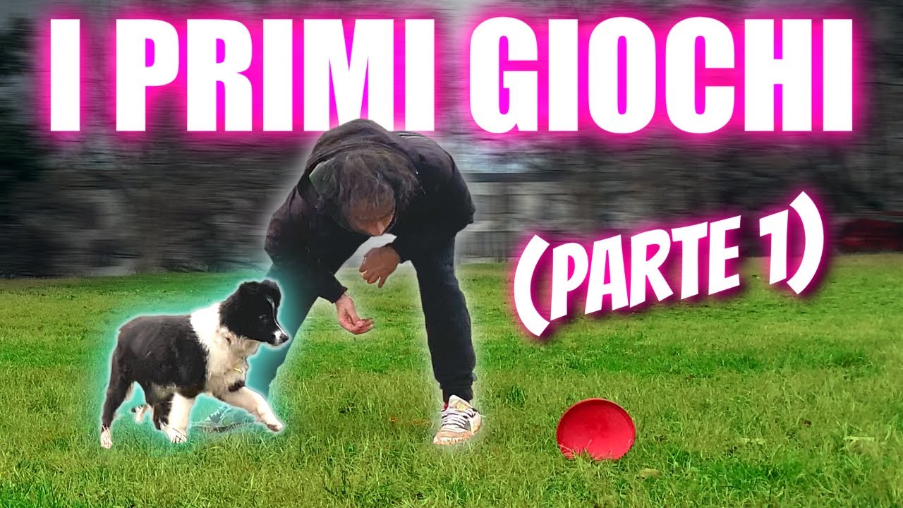 Come GIOCARE con il CUCCIOLO | 