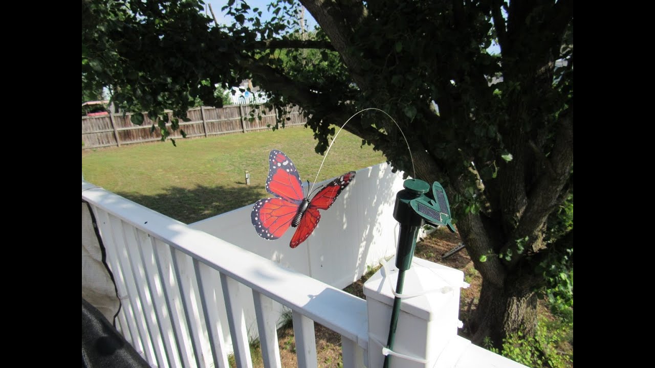 Solar Powered Butterfly