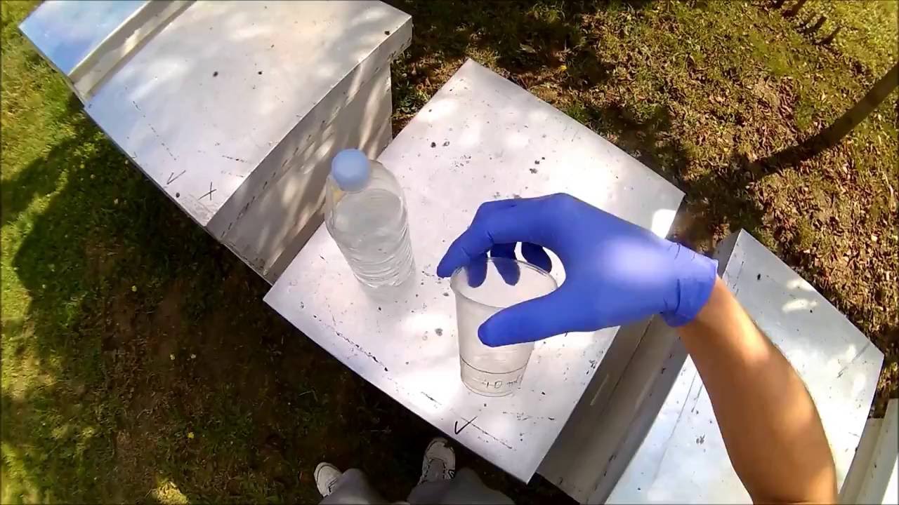How to Apply Formic Acid to Control Varroa Destructor