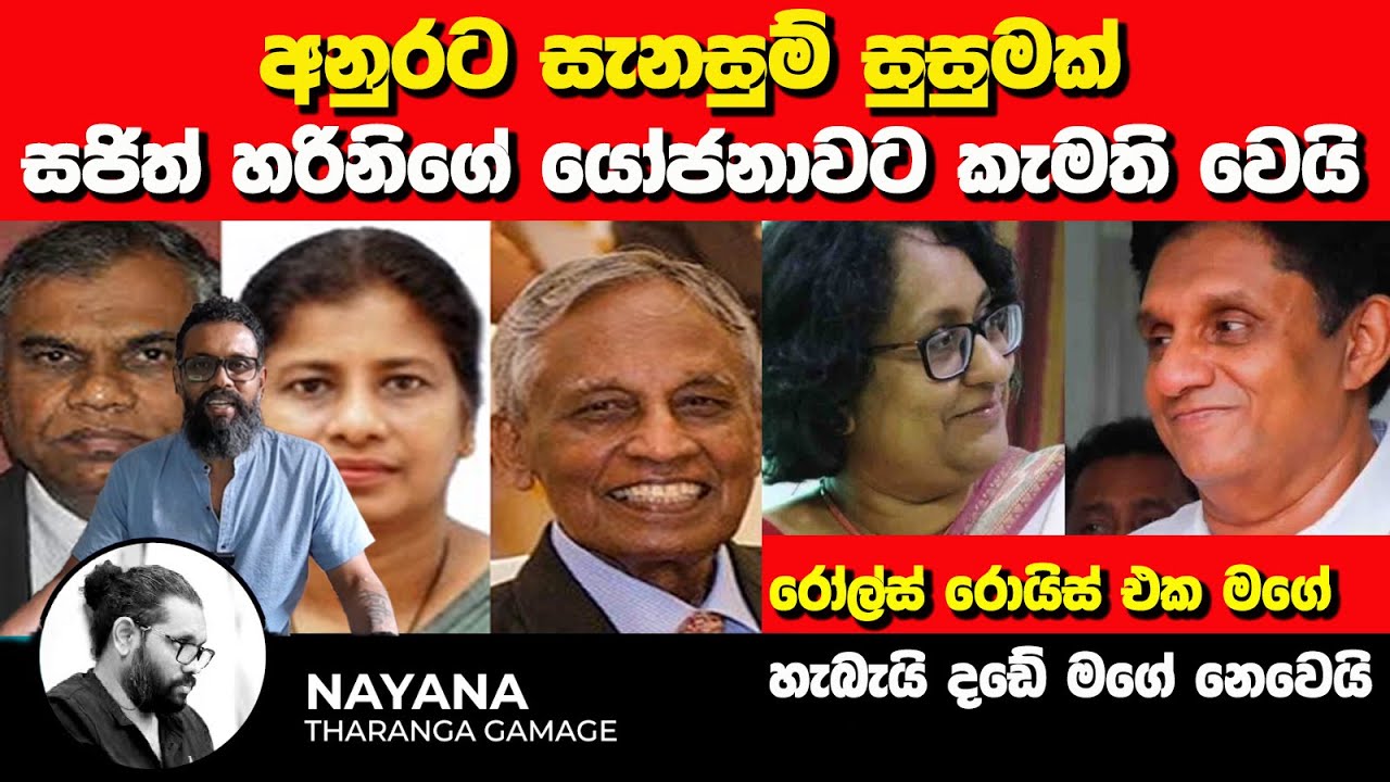 අනුරට සැනසුම් සුසුමක් | අන්තිමේ සජිත් හරිනිගේ යෝජනාවට කැමති වෙයි | Nayana Tharanga Gamage