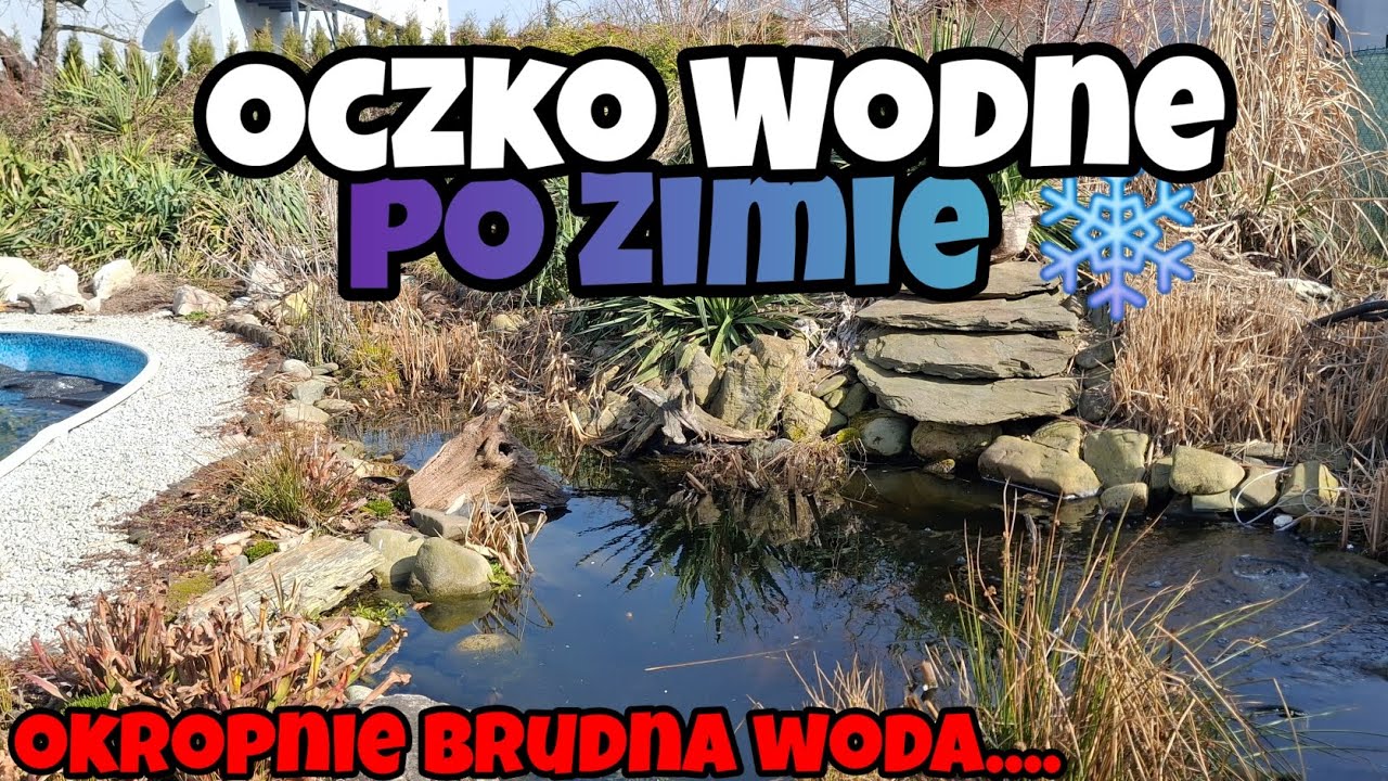 Oczko Wodne - Pierwszy 