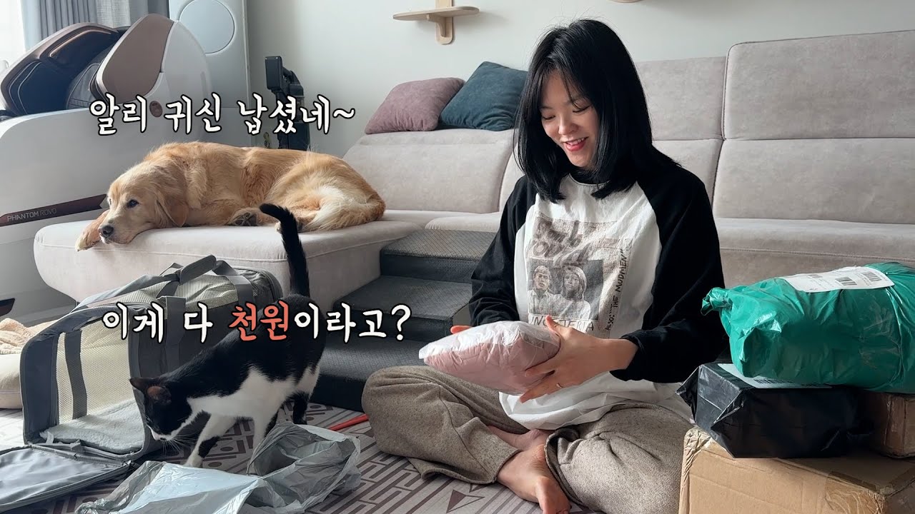 엄마의 알리 쇼핑에 두손 두발든 리트리버와 고양이ㅋㅋ