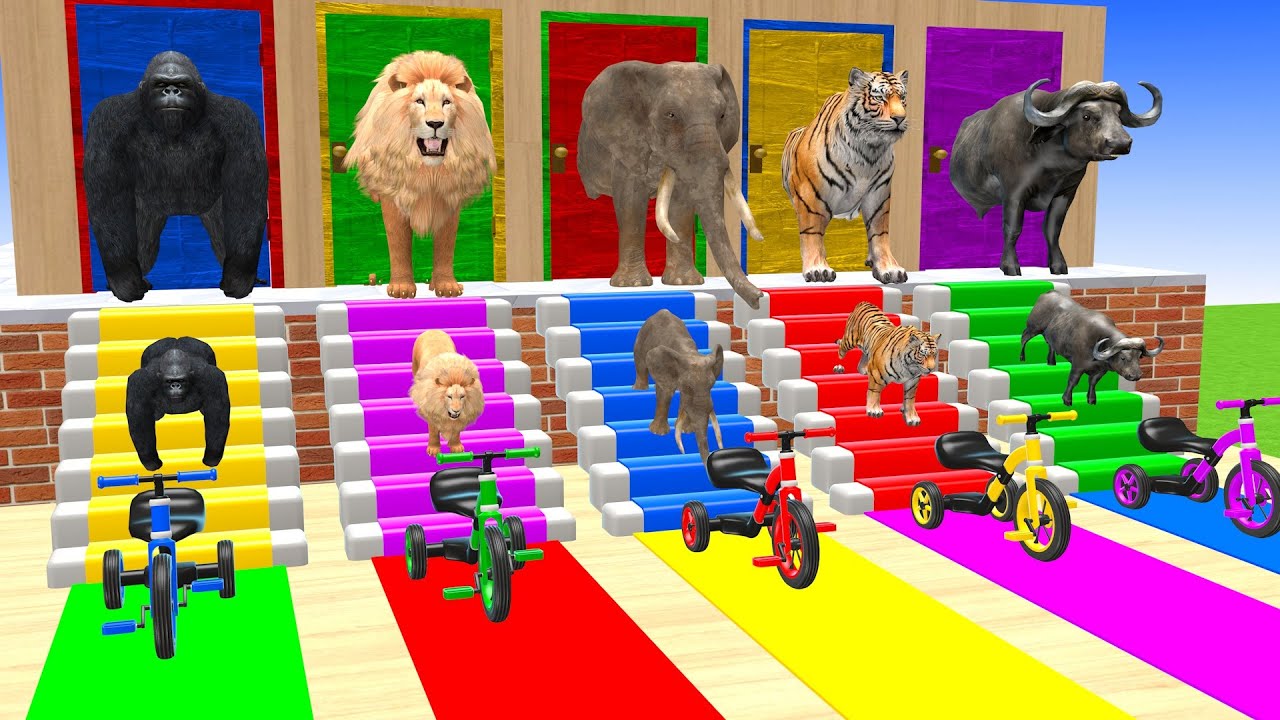 Long Slide Game With Cow  Gorilla Lion Elephant Tiger Buffalo - 3d Animal Game - Funny 3d Animals