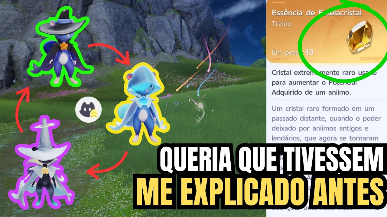 Compilado das melhores dicas para Aniimo
