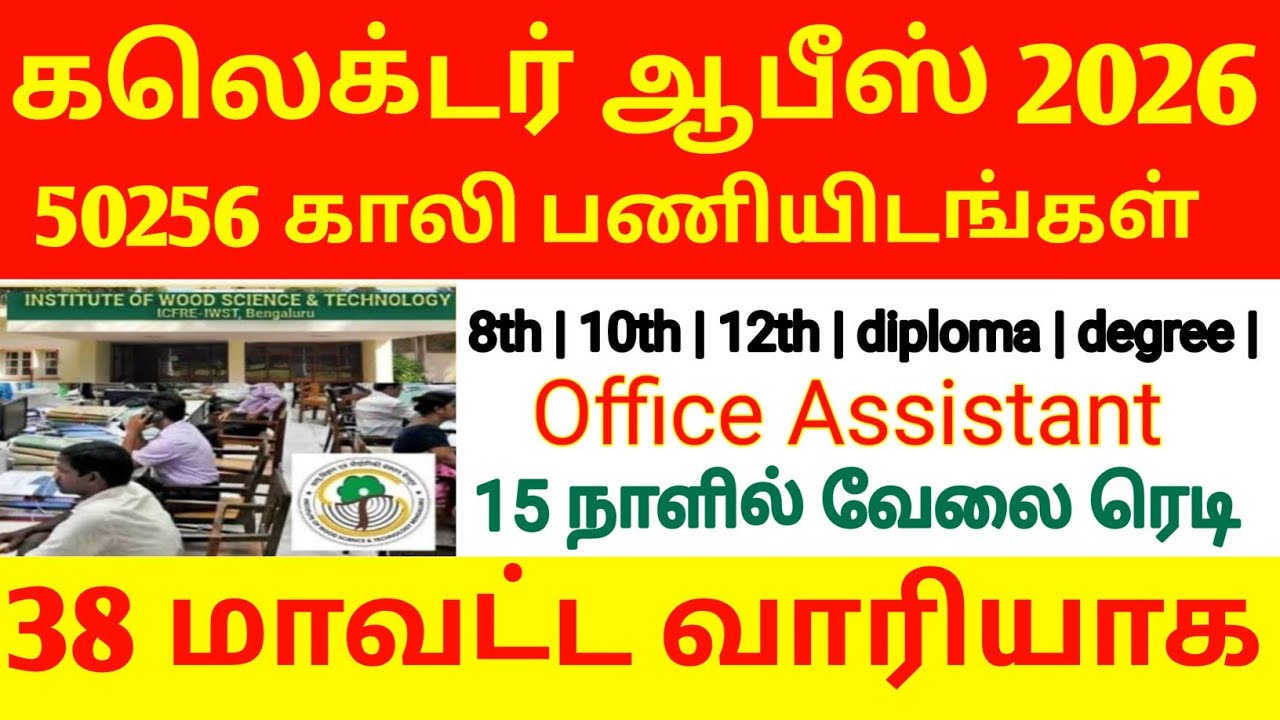 Collector office new update 2026 | collector office jobs collector office service centre 2026 update