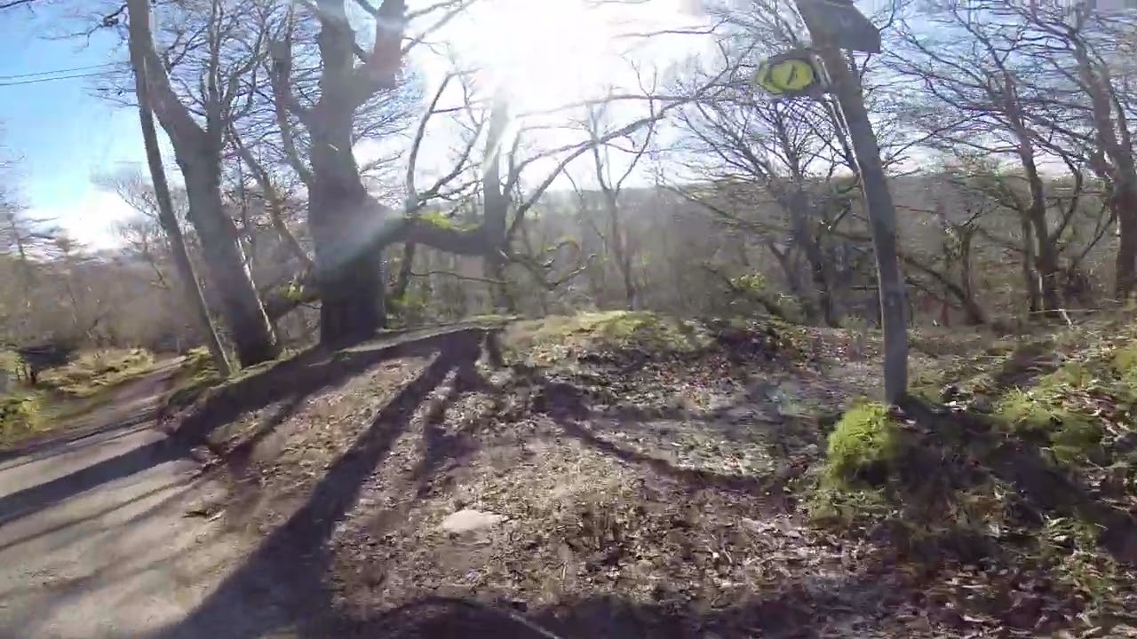 Mountain bike downhill POV