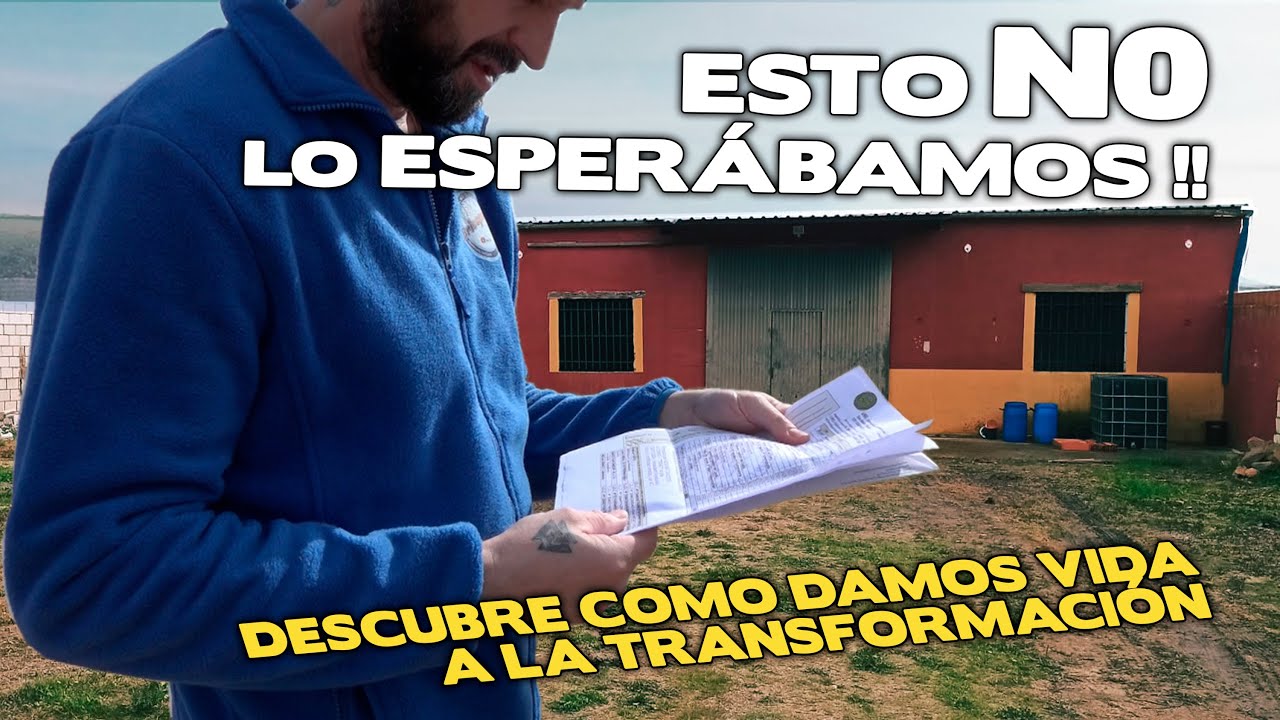 COMPRAMOS UNA FINCA ABANDONADA # 02 Diagn&oacute;stico inicial, necesidades y primeras mejoras