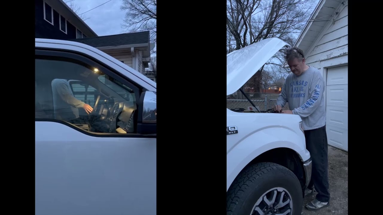 Horns   Before and After
