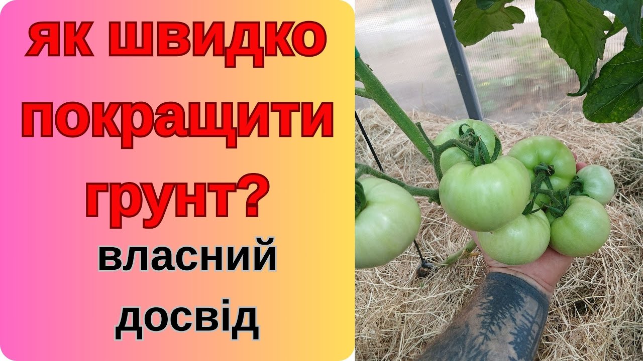 збільшуємо врожай в рази простими та доступними діями.
