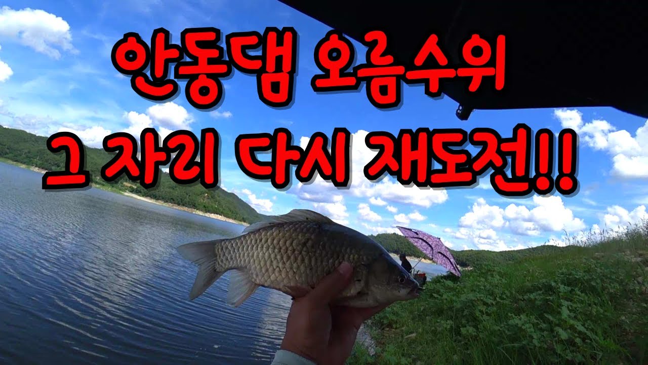 안동댐 오름수위 그 자리 다시 재도전!!