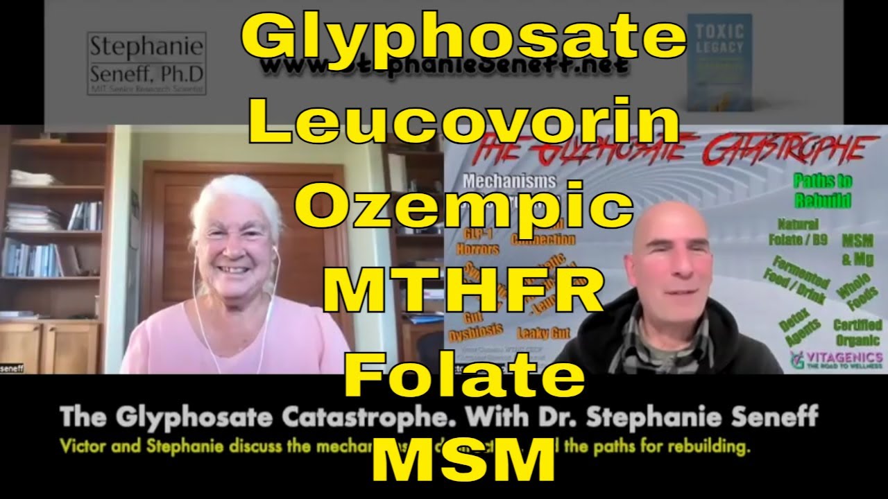 Dr Stephanie Seneff: The Glyphosate Catastrophe. Risks and Solutions.