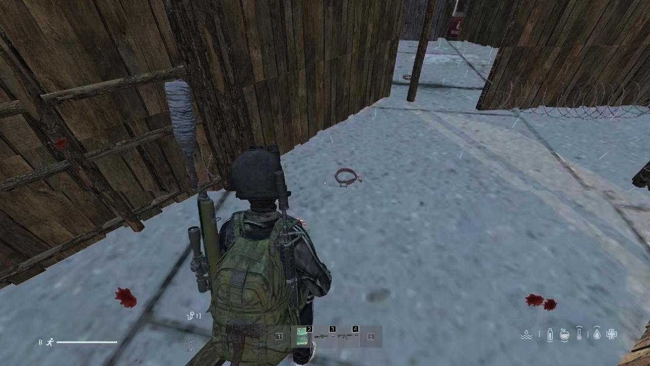 DayZ_20251012170244