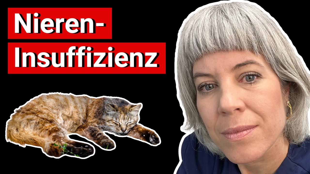 Warum deine Nierenkatze nicht frisst – und was wirklich hilft // Ganzheitliche Tiergesundheit