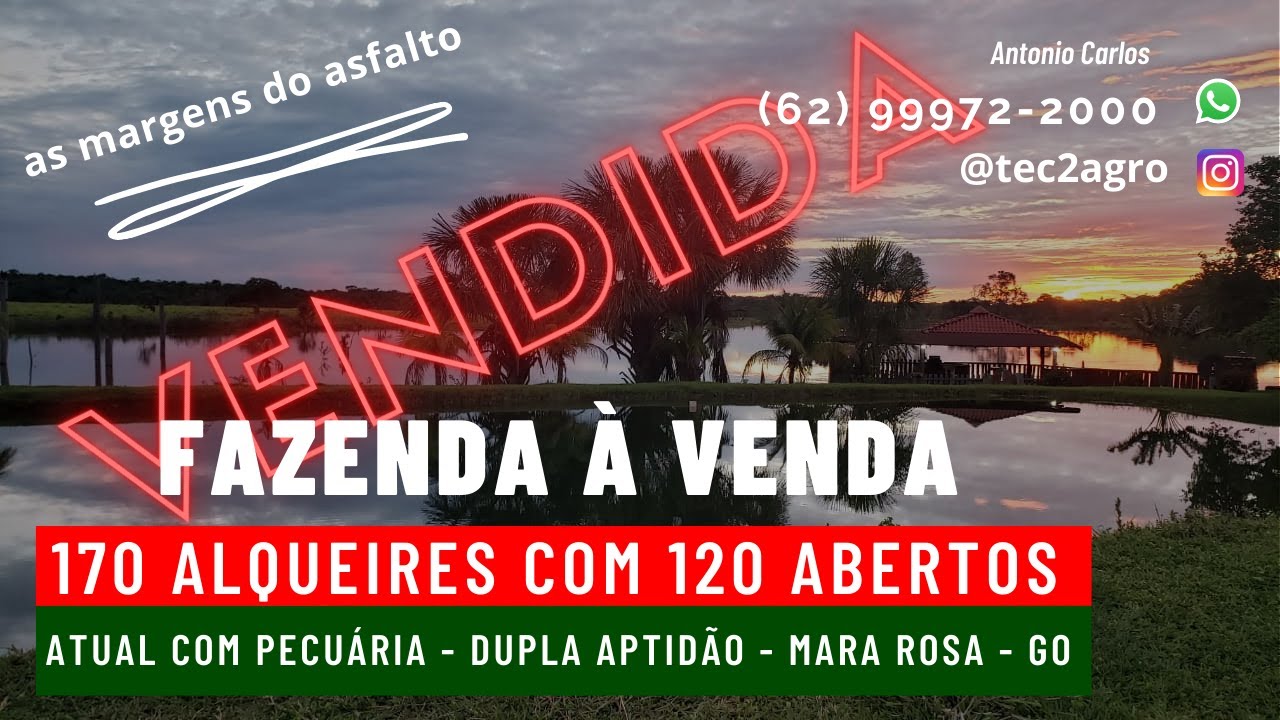 [🐄GADO E SOJA🌱] Fazenda à Venda em Goiás 170 Al Mara Rosa GO[DUPLA APTIDÃO] #vendadefazenda(VENDIDA)