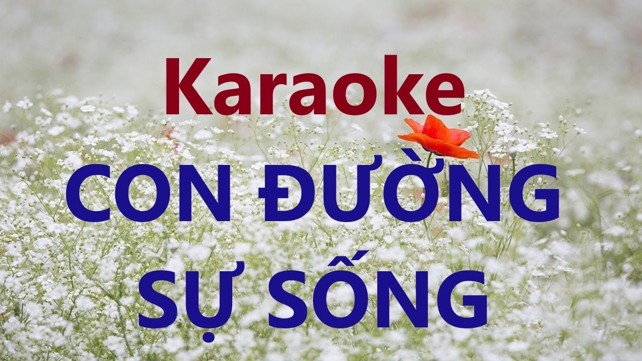 CON ĐƯỜNG SỰ SỐNG - Karaoke (giọng nữ) - Nhạc Thánh Tin Lành