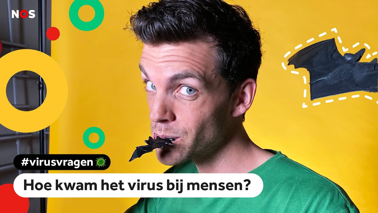 Is corona ontstaan door vleermuizensoep? | VIRUSVRAGEN #3