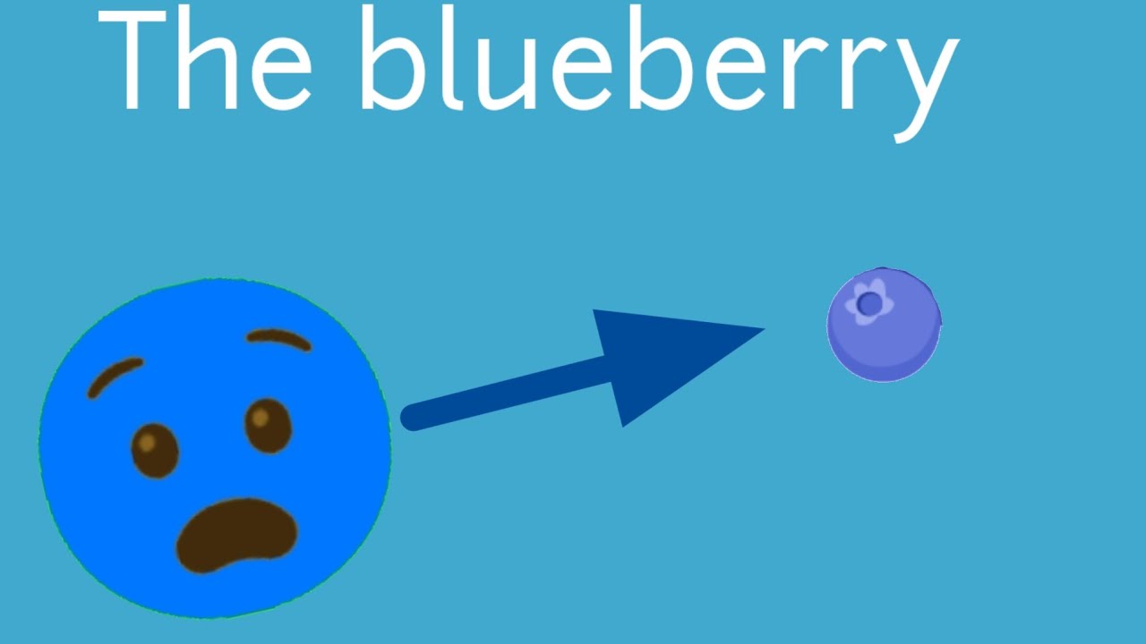 The blueberry! - Mohab Khtab