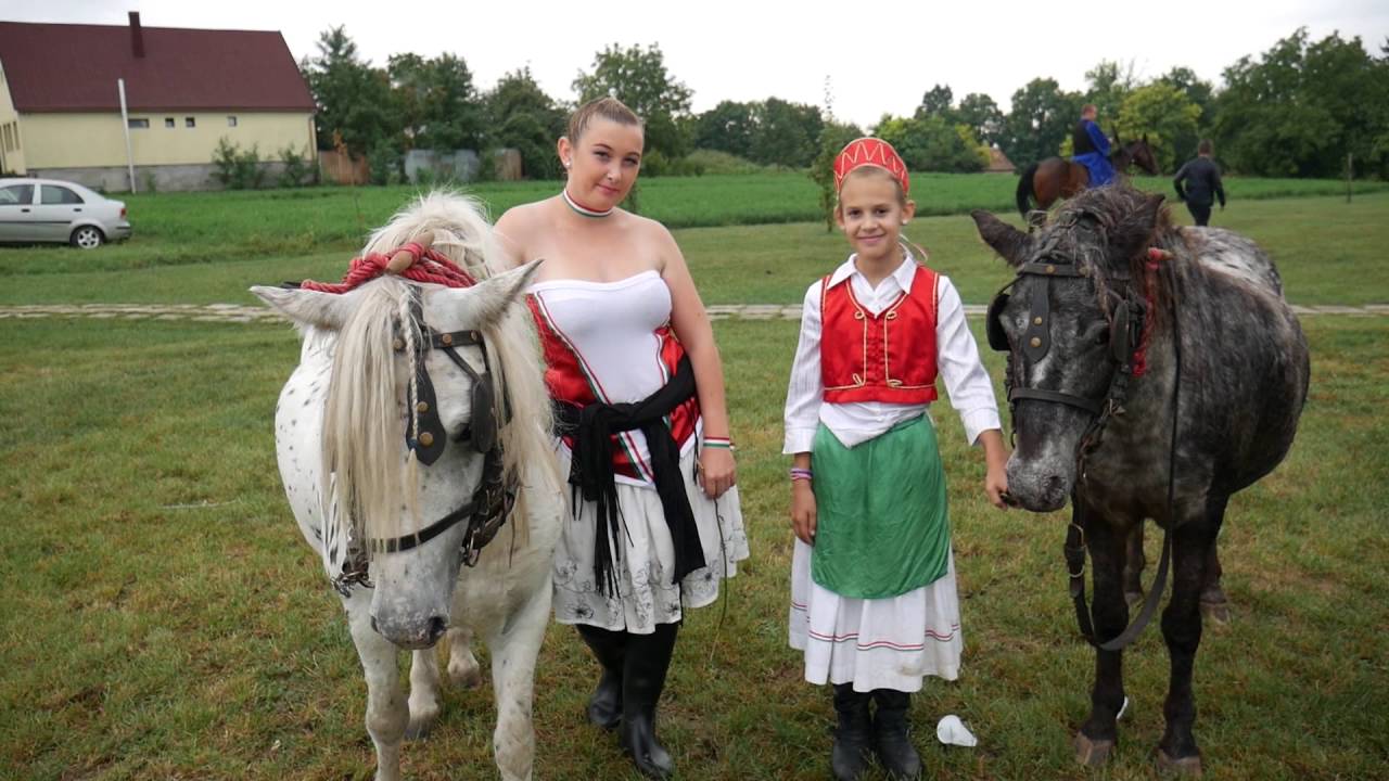Szüreti felvonulás - Polgárdi 2016.