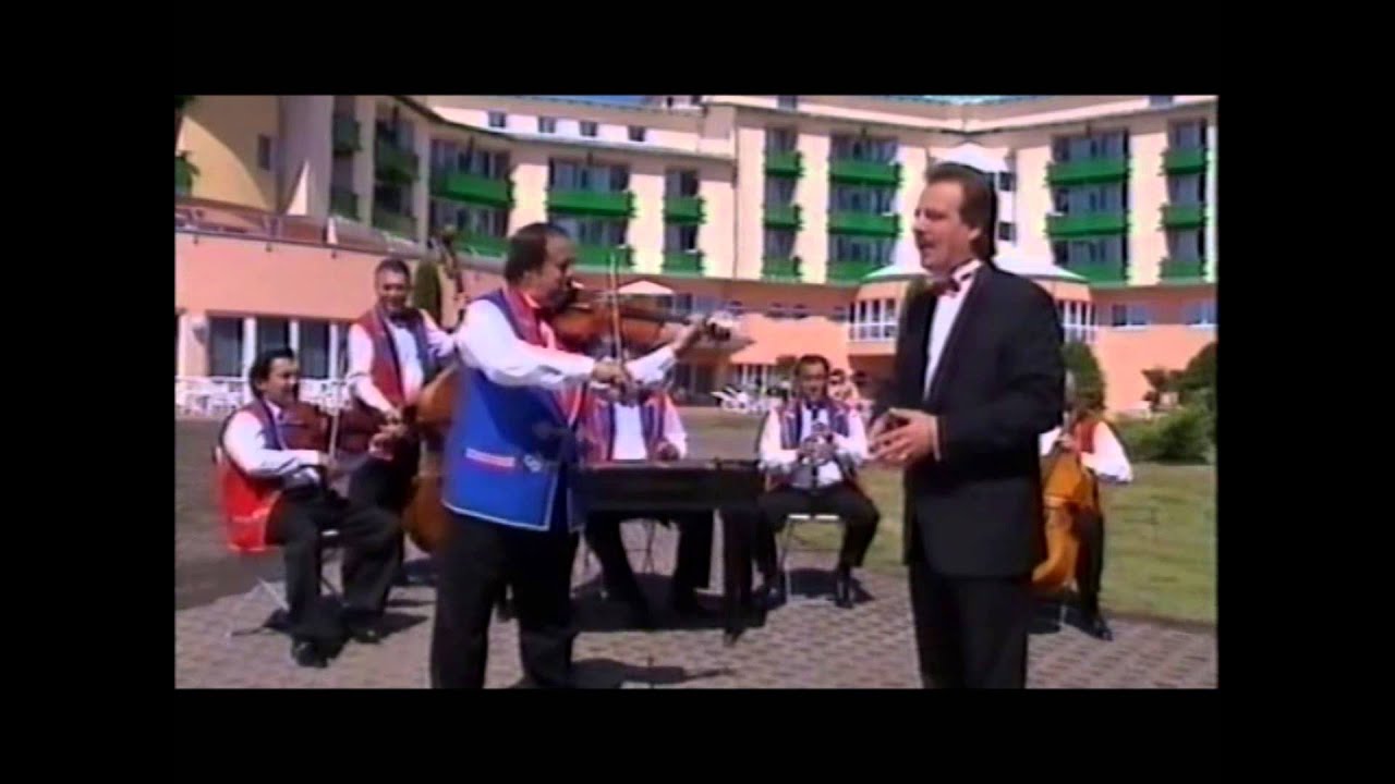 Lovay László - Páros csillag az ég alján