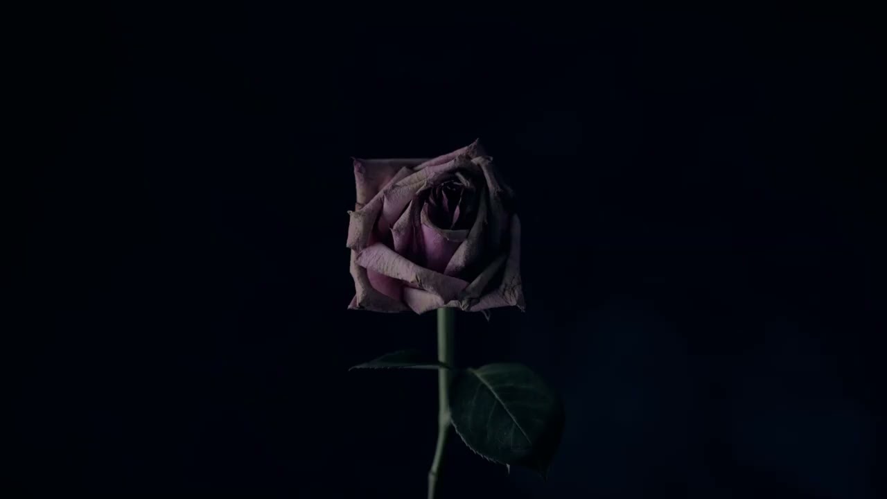 [독학] [작곡] [자작곡] - Death