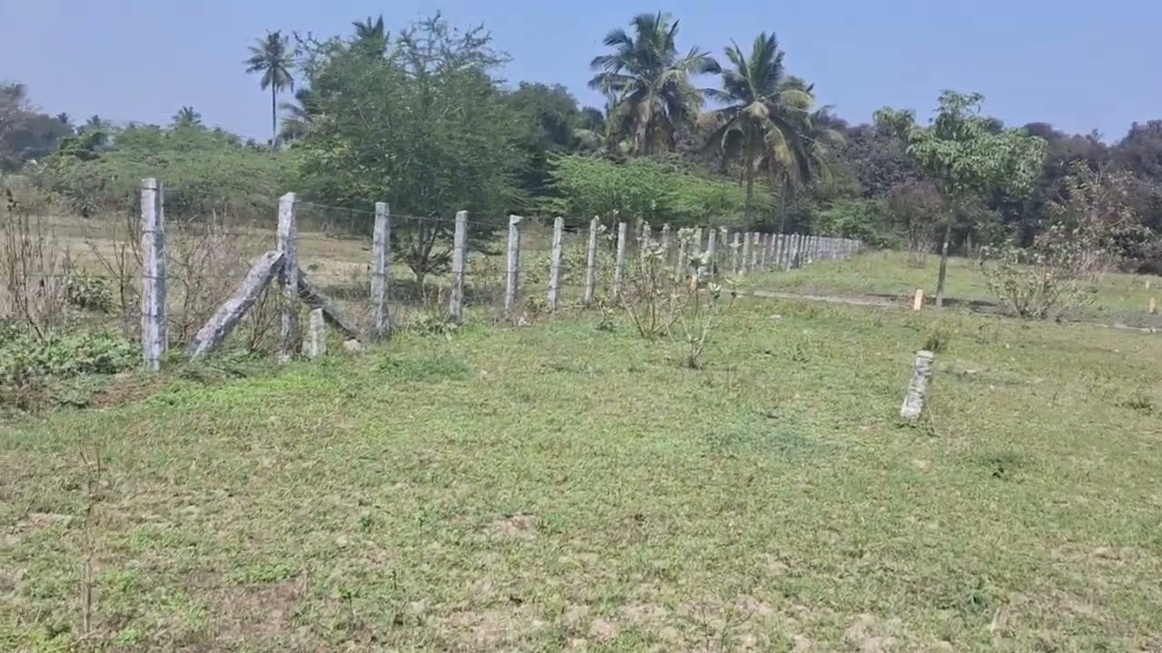 Dhanalaksmi nagar DTCP plots 1,7,size 1600,945 available for sale#Per sft 1350,1250 fixed rate 🙏