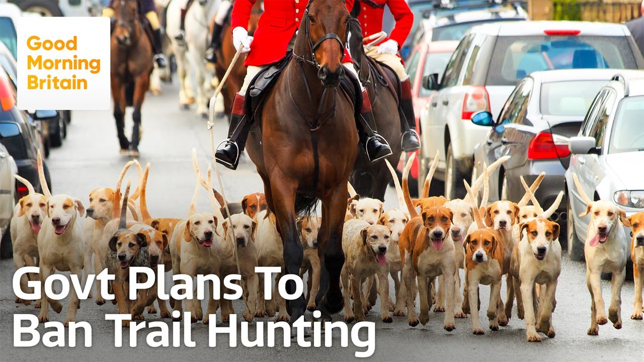 New Animal Welfare Measures Could See Trail Hunting Banned