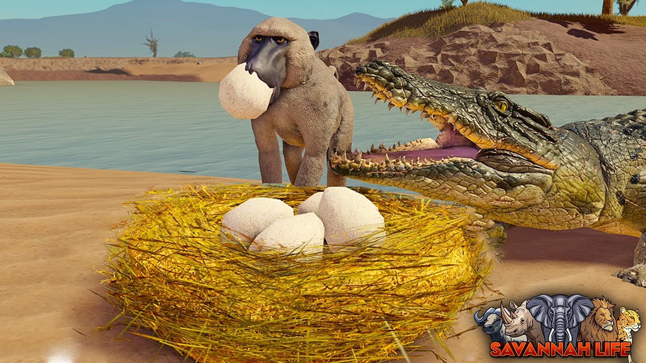Baboon Stealing Crocodile Eggs! | ROBLOX Savannah Life