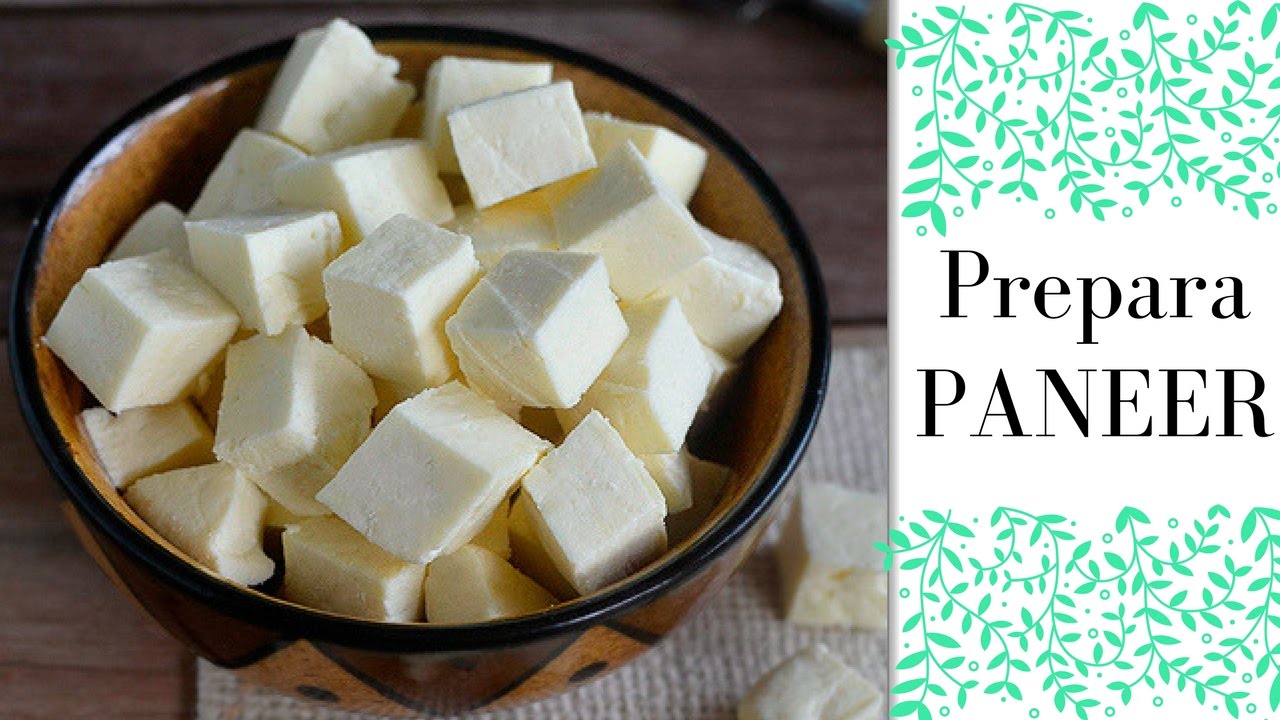 COMO HACER PANEER? How to Make Paneer?