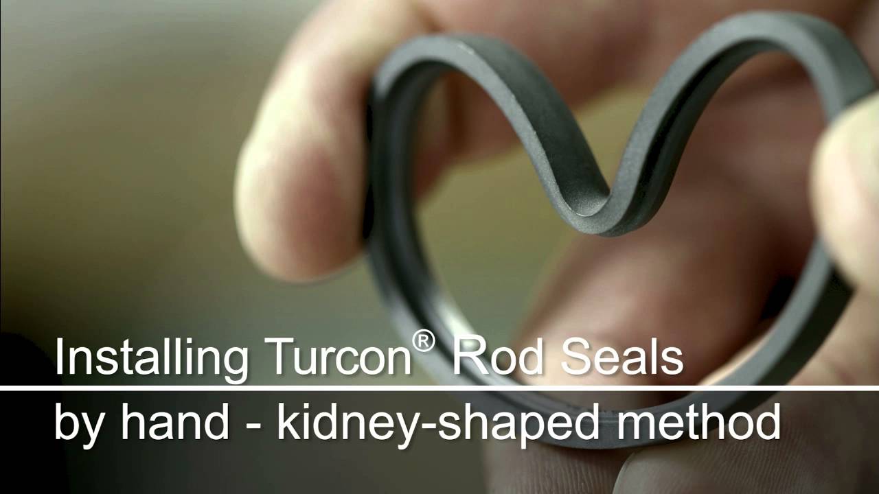 Rod Seal Installation