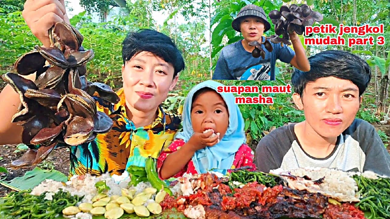 IKAN PATIN BAKAR,LALAP JENGKOL MUDA PETIK LANGSUNG DARI POHONNYA