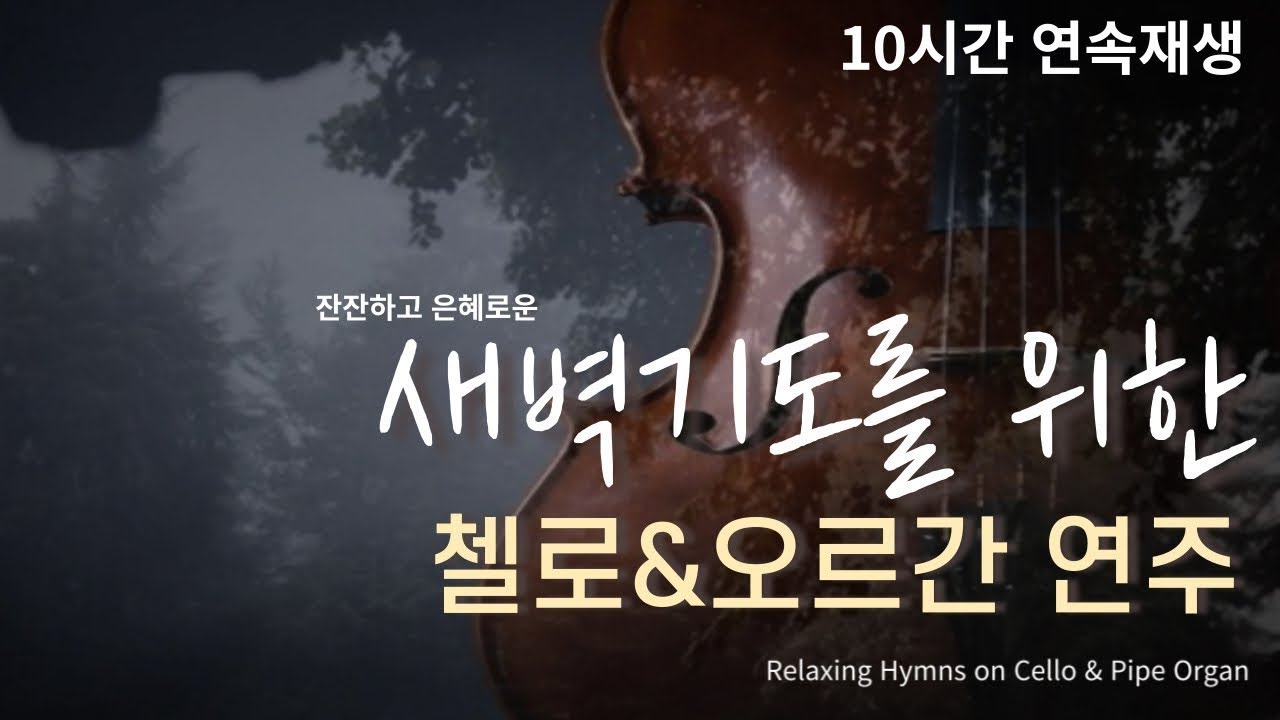 새벽묵상을 위한 첼로&오르간 찬송가 연주모음 10시간재생 중간광고x