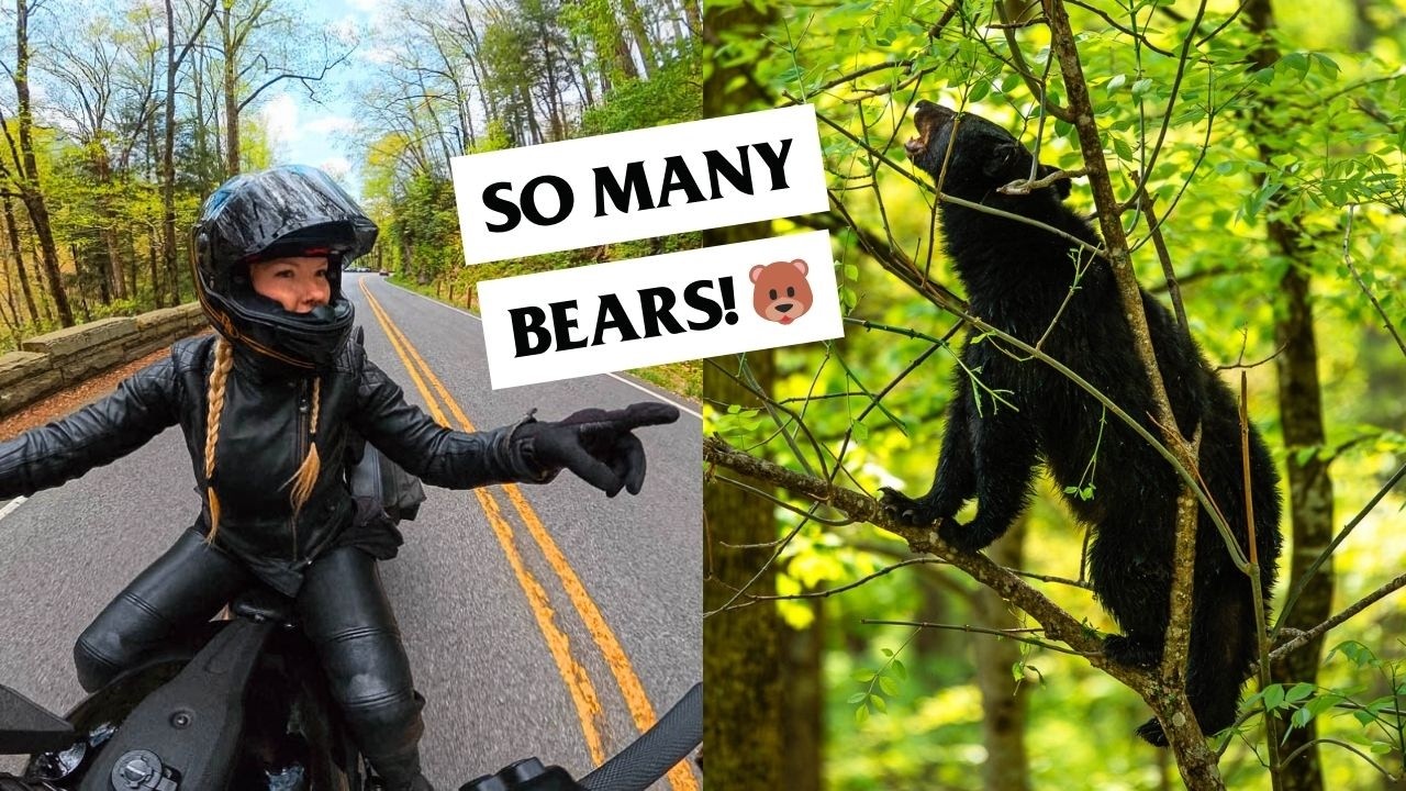 Solo Motorcycle Trip to the Great Smoky Mountains!