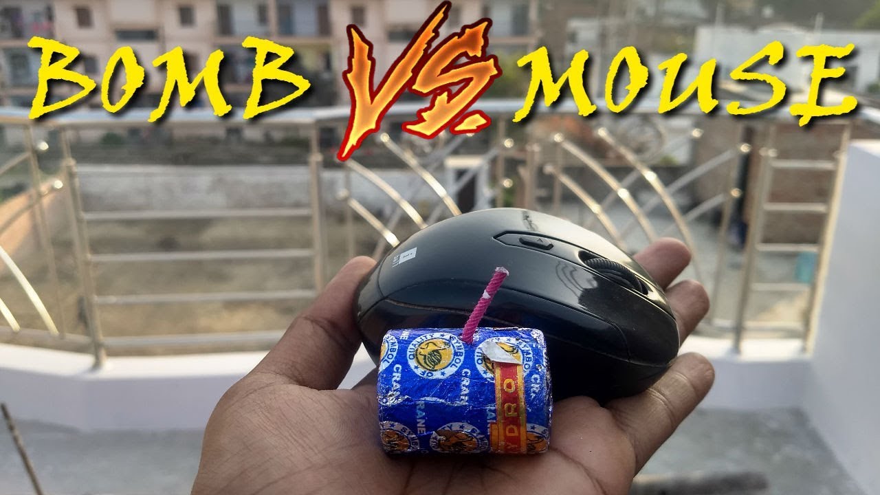 Bomb Vs Mouse | Bomb ke sath Mouse Dekho fir kya hua ?