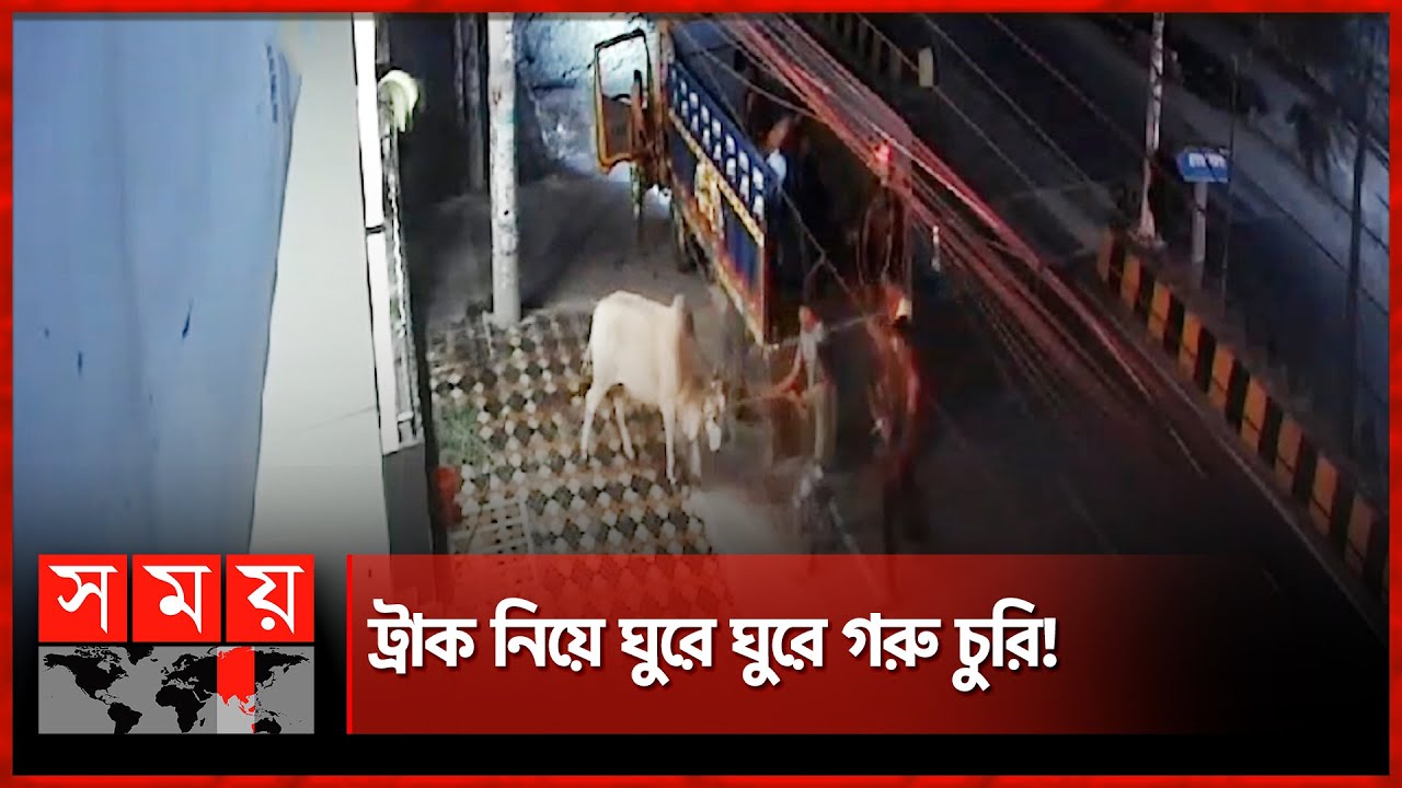 রাতের আঁধারে ট্রাক নিয়ে গরু চুরি! | Khulna News | Cow Robbery | Somoy National