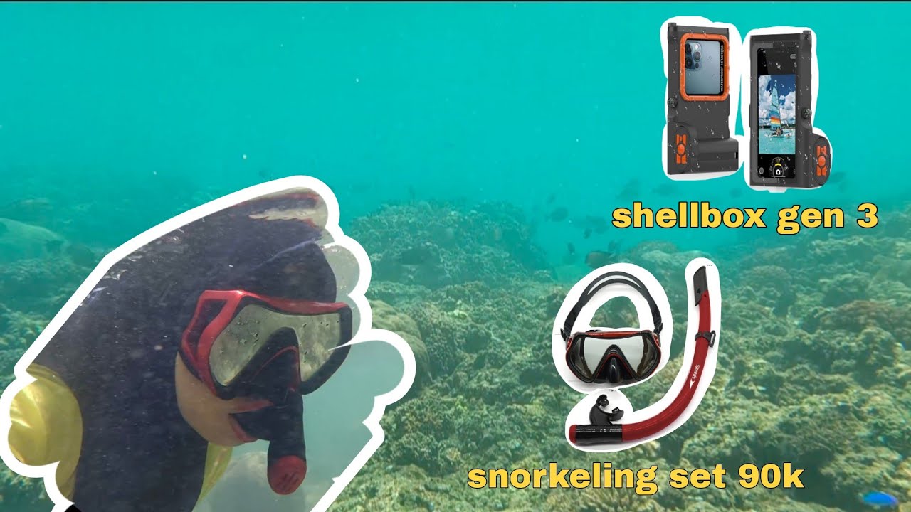 Snorkeling Pake Barang2 di shopee | shellbox gen 3 & snorkeling set 90rb