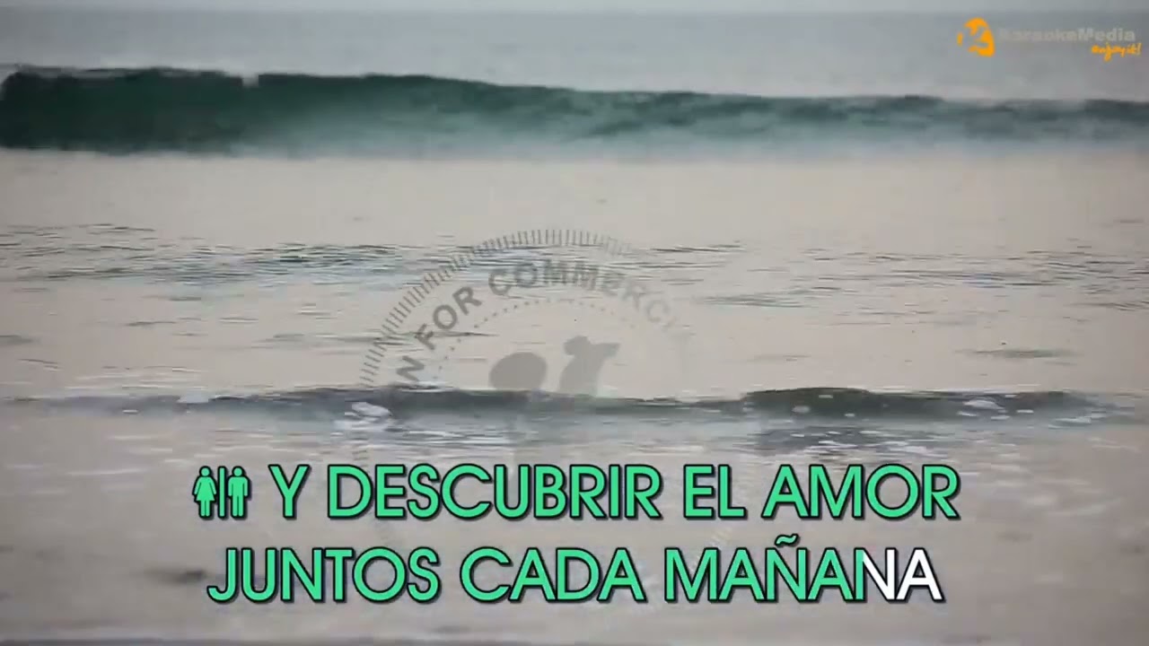 Hoy tengo ganas de ti - Karaoke(voz alejandro Fern&aacute;ndez(incluida))