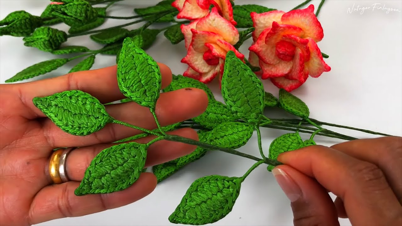 Вязаная крючком Rosa Hybrid Miniature Rose - Листья
