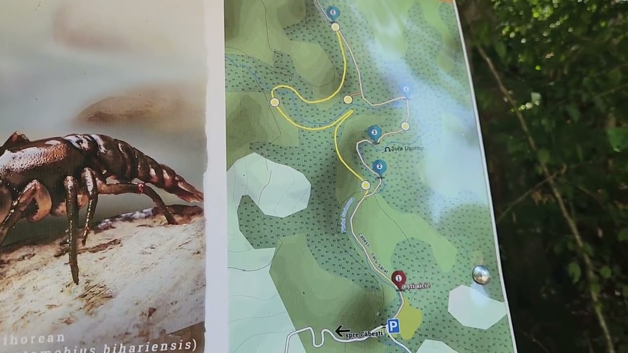Minunile Apusenilor - Pestera cu Cristale din mina Farcu - Sura Dracilor