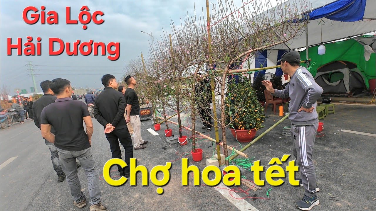 Khám Phá Chợ Hoa Xuân Gia Lộc Hải Dương