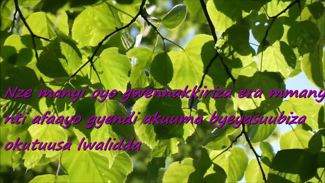 221 Mmanyi Gwenakkiriza