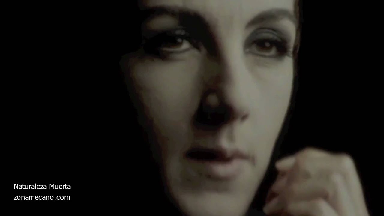 NATURALEZA MUERTA [HD] - Mecano