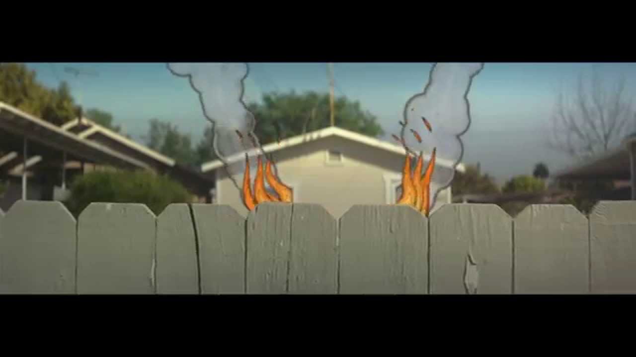 Faces on Film - The Rule (Official Video)
