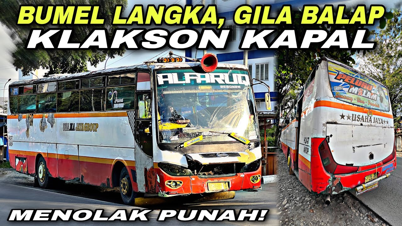 Bumel Langka & Gila Balap 🔥 Klakson Kapal Menolak Punah ❗️| trip USAHA JAYA GROUP “ Alfaruq Reborn “