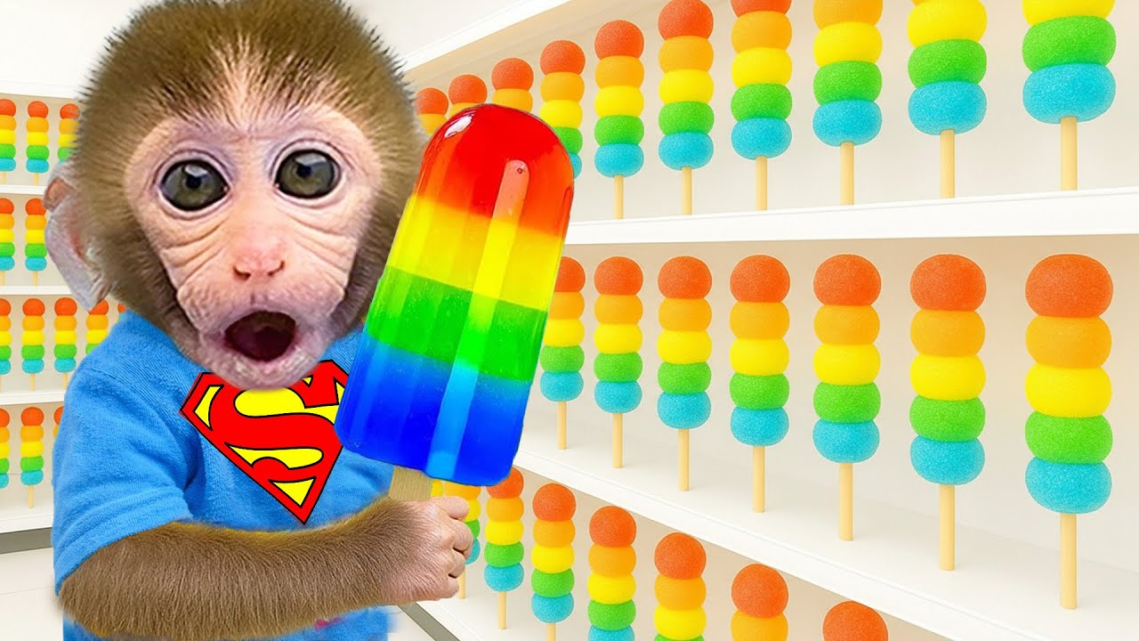 Macaquinho GoGo procura o tesouro mágico em uma jornada incrível | Gogo Family