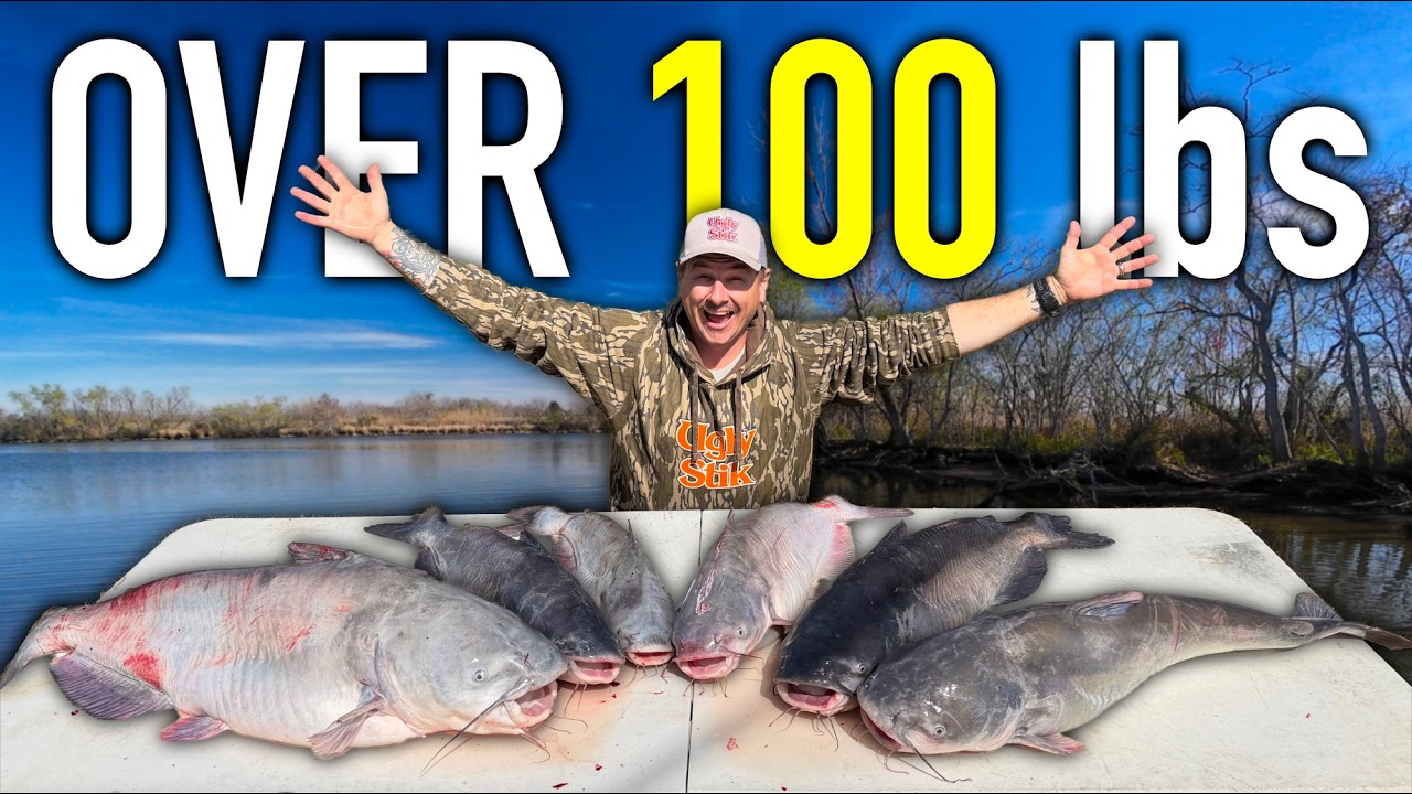 GIANT CatFish on JUGLINEs in Late Winter (Catch and Cook)