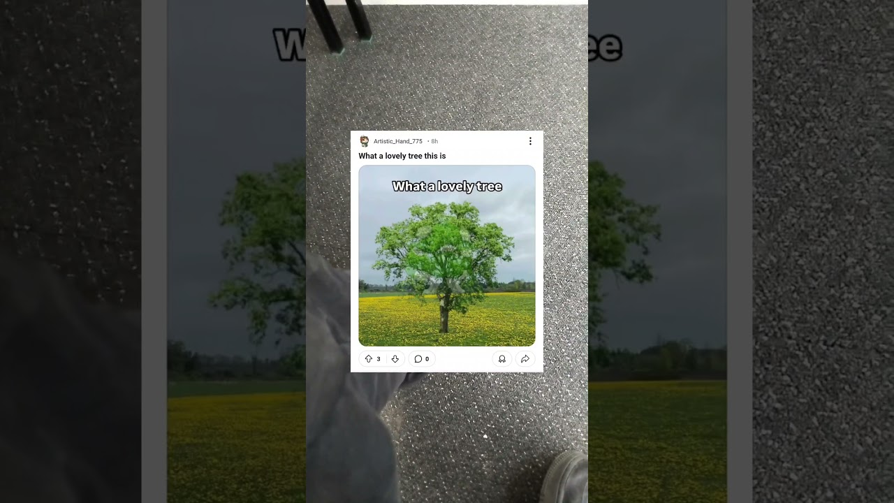 What a Lovely Tree this is #meme #memes #funny #funnymemes #shorts