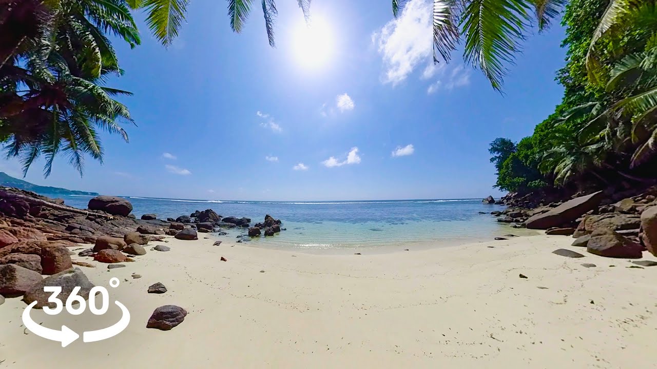 8K 360&deg; VR Seychelles Beach | Sunny Day, Palm Trees & Relaxing Ocean Waves
