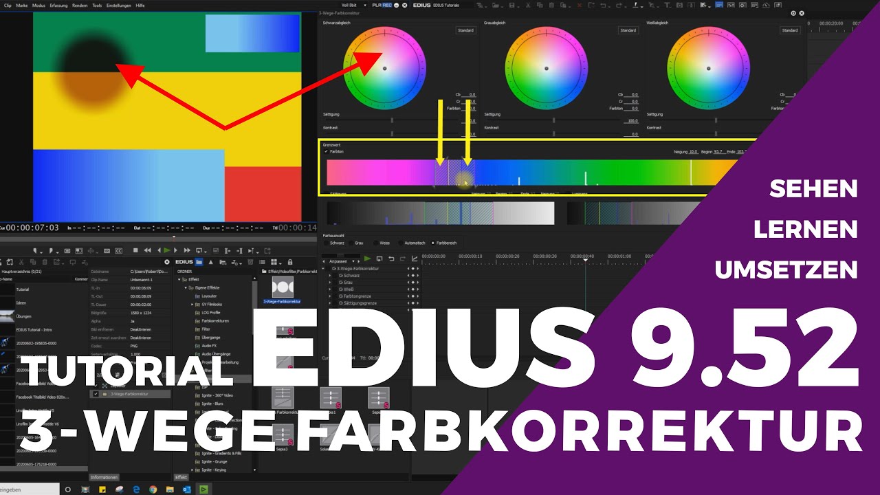EDIUS - 3 Wege Farbkorrektur